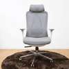 Executive Chairs : Orthopedic Executive Office Chair thumb 0