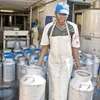 Farm Workers & Dairy Staff for Hire in Kiambu.Fast & Trusted thumb 1