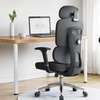 Executive Chairs : High-back Executive Office Chair thumb 4