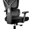 Office Chairs: Lumbar Support Office Chair With Headrest thumb 1