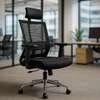Office Chair: Rear Support Design Ergonomic Chair thumb 1