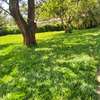 1 ac Commercial Land in Lavington thumb 7