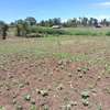 40X80ft PLOT FOR SALE AT KENOL. 100MTRS FROM HIGHWAY thumb 4