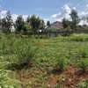 0.1 ha Residential Land in Kikuyu Town thumb 5