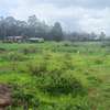 0.05 ha Residential Land at Kikuyu Kamangu thumb 1
