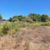 4 acres of land for sale at kokotoni Tezo thumb 2