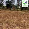 100by75 Plot for sell Kibabii (Bungoma) thumb 2
