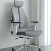 Office Chair: Double Back Height Adjustable Armrests Chair thumb 6