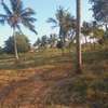 Land at Mavueni Kaloleni Road thumb 3