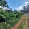 Residential Land at Thigiri Ridge thumb 23