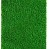 Affordable Grass Carpets -4 thumb 1