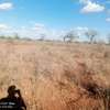 100 acres near AMREF University Makindu Makueni County thumb 5