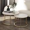 Nesting Round Marble Coffee Table thumb 3