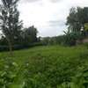 0.5 ac Residential Land in Thome thumb 2