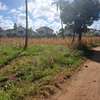 Mtwapa garden 1/2 acre plot thumb 7