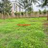 0.05 ha Commercial Land in Kikuyu Town thumb 0