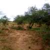 153 Acres of Land For Sale in Ngatateak - Namanga Rd thumb 3