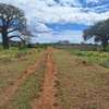 1 acre for sale in Diani thumb 7
