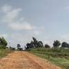 Land at Riabai -Githunguri Road 3Km From Kirigiti thumb 13