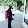 Hire Reliable Fumigation & Pest Control Services Company Nairobi | Call in our experts today. We Are 24/7 thumb 1