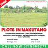 Plot for sale in Makutano Mwea thumb 2
