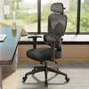 Office Chair:  Lumbar Support Office Chair thumb 4