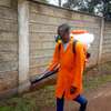 BEDBUGS FUMIGATION  SERVICES|COCKROACHES FUMIGATION SERVICES IN NAIROBI. thumb 0