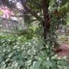 0.65 ac Residential Land at Mbaazi Avenue thumb 5