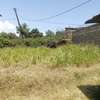 Land for sale in Rironi (50*100) thumb 0