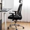 Office Chair: Orthopedic Office Chair thumb 1