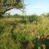 1500 Acres Available For Sale in Kitui Mutha Region thumb 3