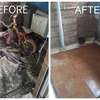 Nairobi - Bed Bugs Extermination and Removal in Nairobi thumb 13