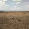 180 Acres of Land For Sale in Kipeto, Isinya thumb 4