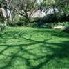 Landscaping Services in Kenya.Low Cost Garden Maintenance thumb 12
