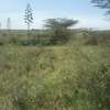 Lovely 4 Acre Land in Kiserian thumb 2