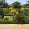 5 Bed House with En Suite in Runda thumb 6