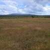 Affordable Plots for sale in Konza thumb 7