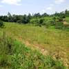 Prime 3 Acre Land For Sale in Shihome,Malava , Kakamega thumb 2