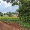 0.5 ac Residential Land at Kentmere thumb 4