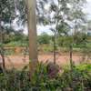 160 Acres Touching Thika-garissa Road Is On Quick Sale thumb 3