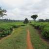 Land in Kiambu Town thumb 0