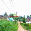 0.05 ha Residential Land at Ondiri thumb 8