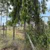 Prime 1/4 Acre Plots For Sale In Kitengela thumb 4