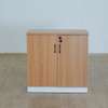 2 Door Wooden Executive Office Cabinet thumb 5