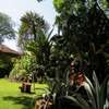 FOR SALE – PRESTIGIOUS PROPERTY LAVINGTON, NBI (0.8 ACRES) thumb 12