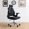 Ergonomic Adjustable Office Chair thumb 7