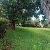 4 Bed House with En Suite in Nyari thumb 1