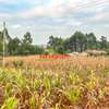 0.05 ha Residential Land in Kamangu thumb 6