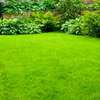 Bestcare Landscaping & Gardening Services in Karen,Runda thumb 1