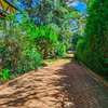 Furnished 2 Bed Apartment with Parking at Near Hardy Post thumb 5